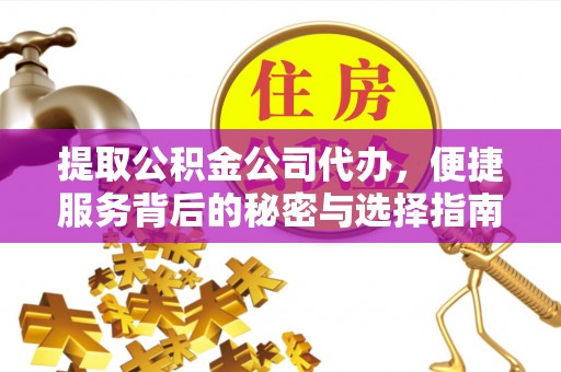 建水提取公积金公司代办，便捷服务背后的秘密与选择指南