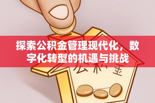 建水探索公积金管理现代化，数字化转型的机遇与挑战