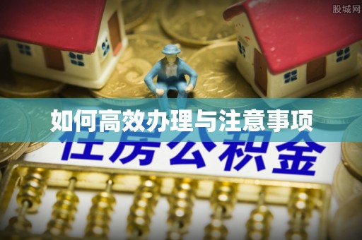 建水如何高效办理与注意事项