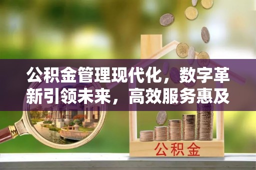 建水公积金管理现代化，数字革新引领未来，高效服务惠及民生