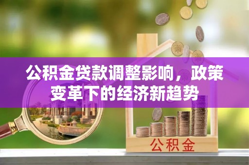 建水公积金贷款调整影响，政策变革下的经济新趋势