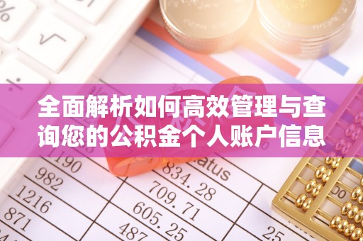 建水全面解析如何高效管理与查询您的公积金个人账户信息