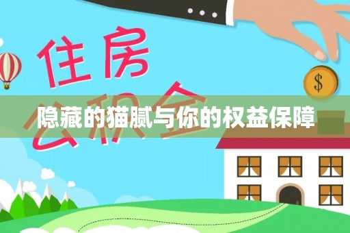 建水隐藏的猫腻与你的权益保障