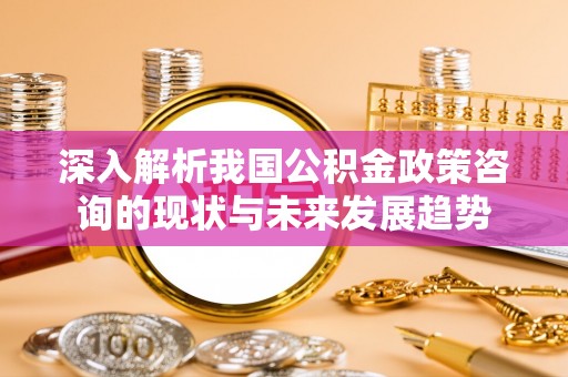 建水深入解析我国公积金政策咨询的现状与未来发展趋势