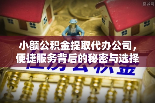 建水小额公积金提取代办公司，便捷服务背后的秘密与选择指南
