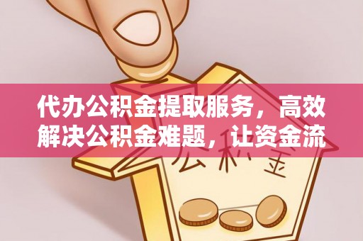 建水代办公积金提取服务，高效解决公积金难题，让资金流动更自由
