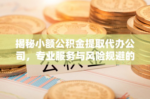 建水揭秘小额公积金提取代办公司，专业服务与风险规避的平衡艺术