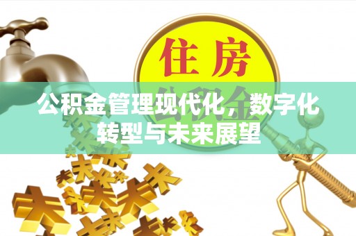建水公积金管理现代化，数字化转型与未来展望