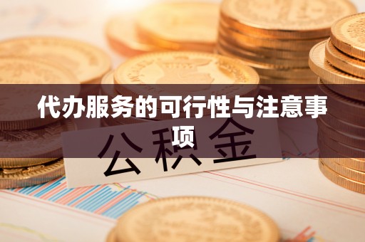 建水代办服务的可行性与注意事项