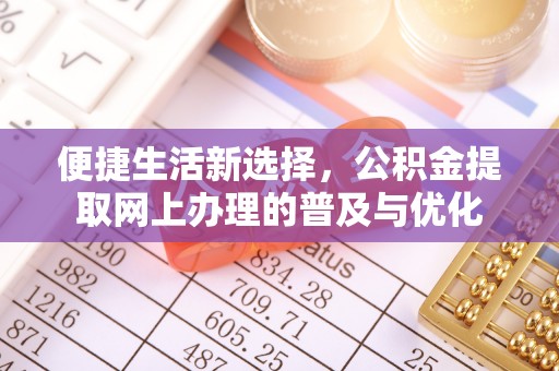 建水便捷生活新选择，公积金提取网上办理的普及与优化